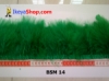 BSM 14 medium.jpg